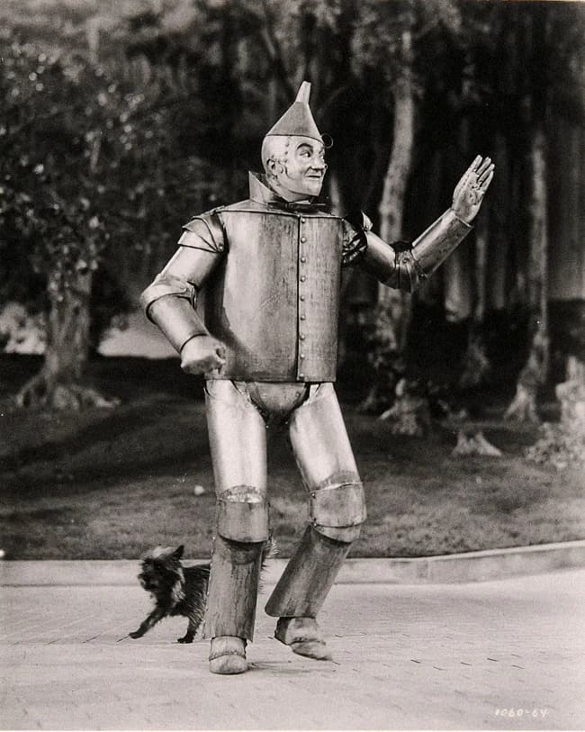 The Tin Man from The Wizard of Oz standing in a garden